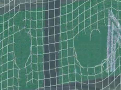 הרשת שנקרעה