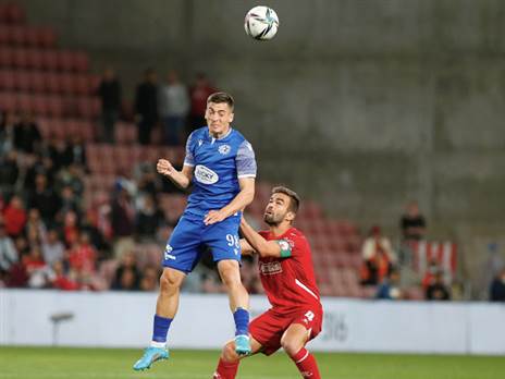 הפנים למאבק ההשרדות (אלן שיבר)