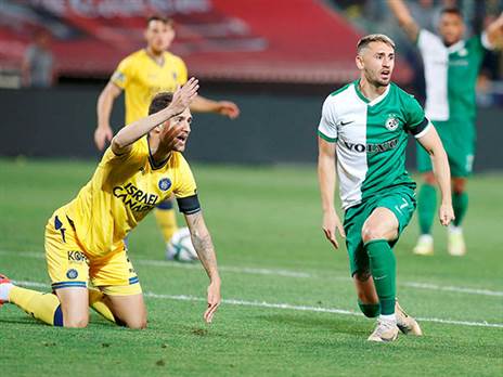 איכזב. אצילי (אלן שיבר)