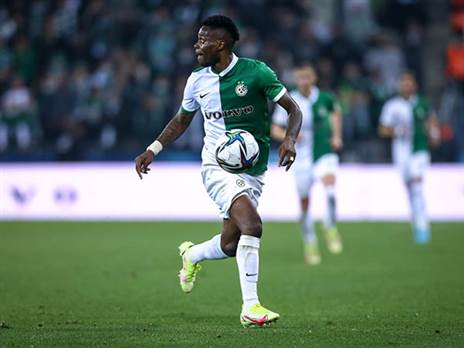 צי'בוטה. יחליף את חזיזה המוצהב (מאור אלקסלסי)