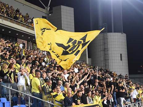 צפי לתמיכה מלאה (ברני ארדוב)