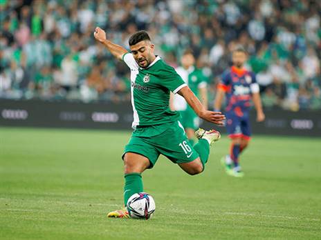 אבו פאני. יעבור לירוק של ורדר ברמן? (אלן שיבר)