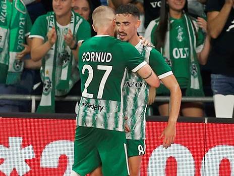 חזיזה. אופטימי (אלן שיבר)