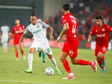 שרי. בפורטוגל עוקבים (אלן שיבר)