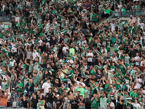 סמי עופר ייצבע כולו ירוק? (אלן שיבר)