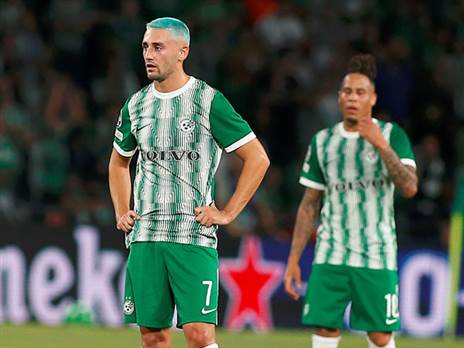 (צילום: אלן שיבר)