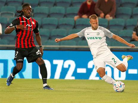 הוויקינג של הכרמל (צילום: אלן שיבר)