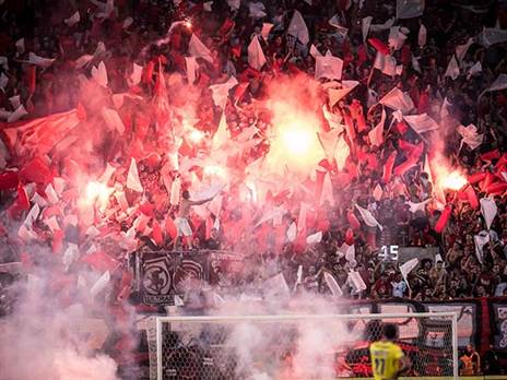 חמור (אלן שיבר)