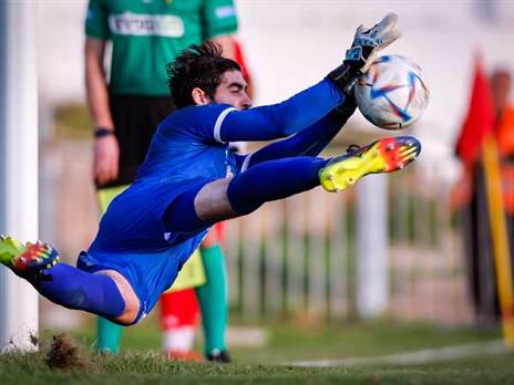 (מאור אלקסלסי)