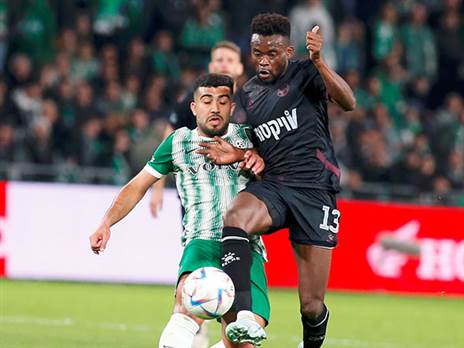 לא מפחד לנשוך (אלן שיבר)