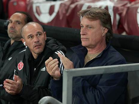 דרושה בדיקת מציאות (אלן שיבר)