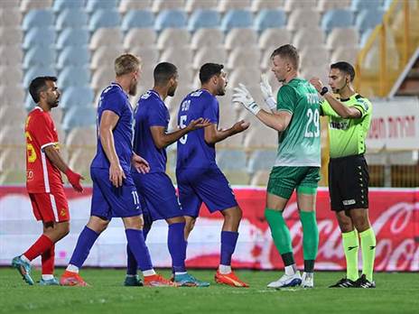 ביקורת כלפי שטייף (לירון מולדובן)