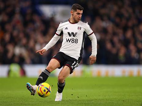 הערב: סולומון ופולהאם מול וולבס (Getty)