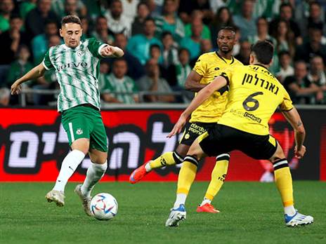 "יכול לשחק עם סבע ביחד". אצילי (צילום: אלן שיבר)