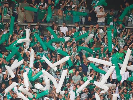 חגיגות בשבת ובראשון. אוהדי חיפה (אלן שיבר)