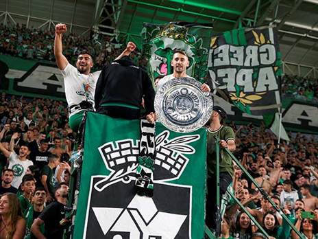 החגיגות כבר בעיצומן (אלן שיבר)