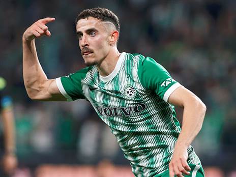 חזיזה. זוכה להתעניינות (אלן שיבר)