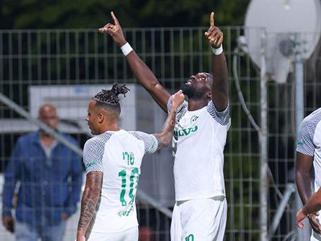 נשאר ירוק בנשמה (אלן שיבר)