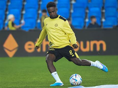 לא יגיע למחנה (ברני ארדוב)