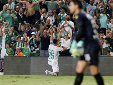 חלאיילי. קשר טוב עם הקהל (אלן שיבר)