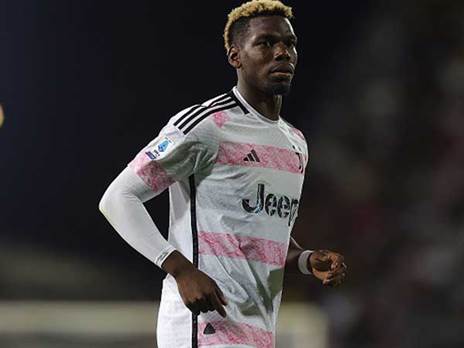 "ענף אכזרי" (GETTY)