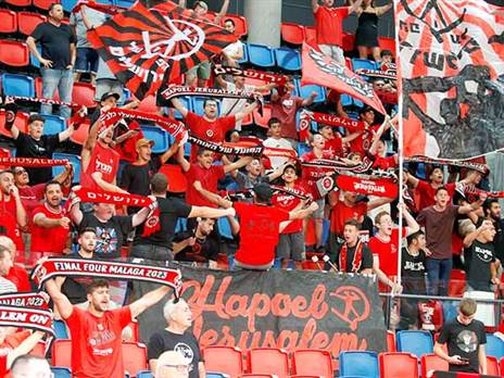 האוהדים ביציעים (אלן שיבר)