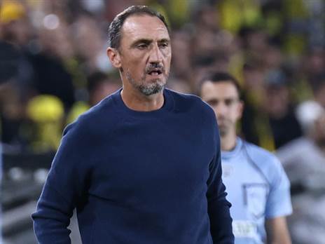 "חזר למקורות". ולקאניס (צילום: דני מרון)