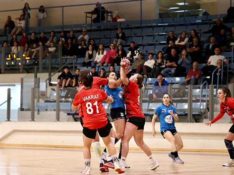 המפגש בין הסגנית לאלופה הערב ברמת גן (הדר ואן קולא איגוד הכדוריד)