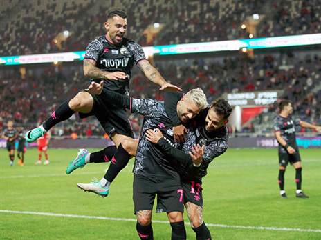 שוב חגיגה (אלן שיבר)