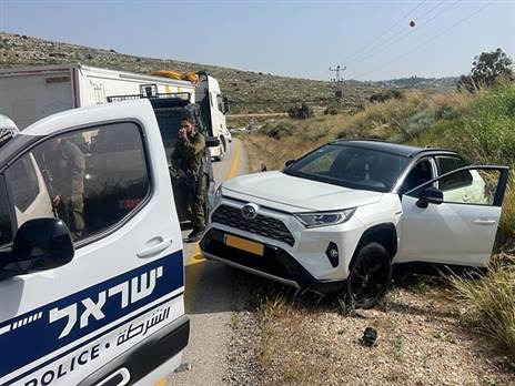 צילום: פוינטר