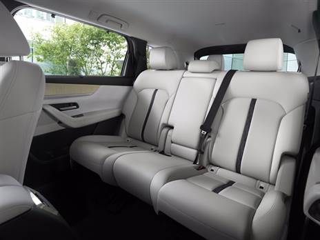 שורה שייה סטנדרטית