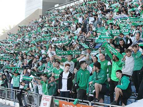 האוהדים הירוקים. בחיפה התגעגעו (אלן שיבר)