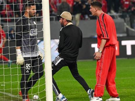 (ברני ארדוב)