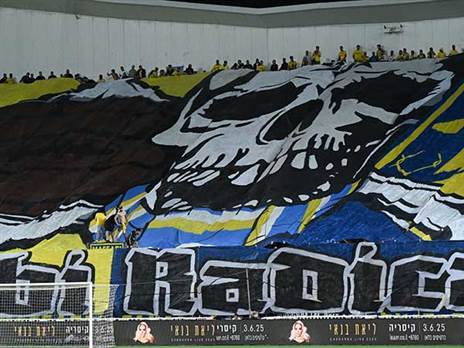 “מצפה לתמיכה מהקהל“ (צילום: אלן שיבר)