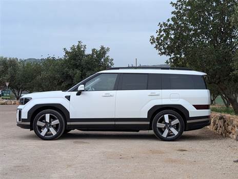 צמח בממדים לעומת הדור הקודם