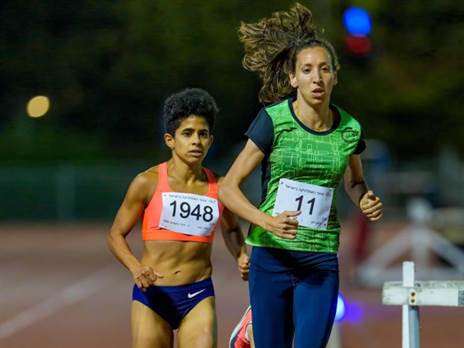 (באדיבות רועי כפיר)