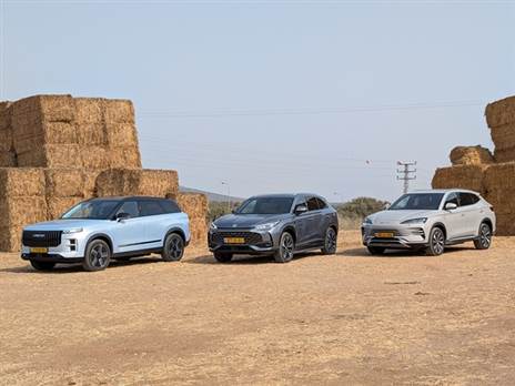 צילום: רן סגל