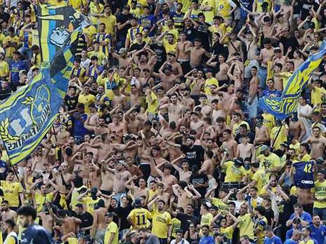 (צילום: אלן שיבר)