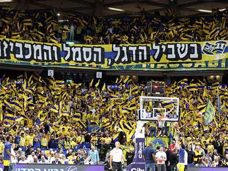 (צילום: אלן שיבר)