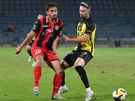 (ברני ארדוב)