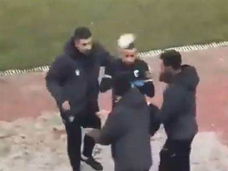 אפקט כדור השלג? הפגיעה בסבע (צילום מסך)