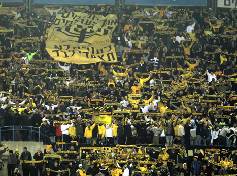 מה יקרה אם תהיה אזעקה בטדי? (אלן שיבר)