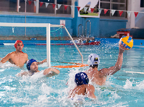 (צילום: יואב כרמון)