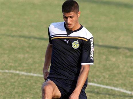 עוד לא מצא את מקומו הקיץ. זריס (אלן שיבר)