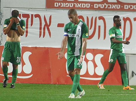 הירוקים הורידו ראש (אלן שיבר)