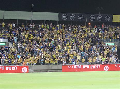 גם אלפי צהובים הגיעו (אלן שיבר)