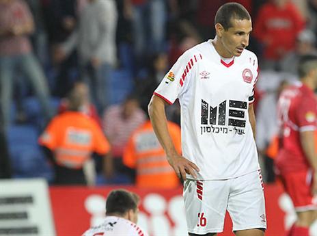 רעננה ולביא במשבר (אלן שיבר)