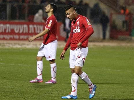 יתאוששו במחזור הבא? (צילום: אלן שיבר)