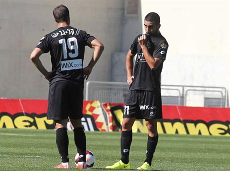 אנרגיות עד הסוף? (אלן שיבר)