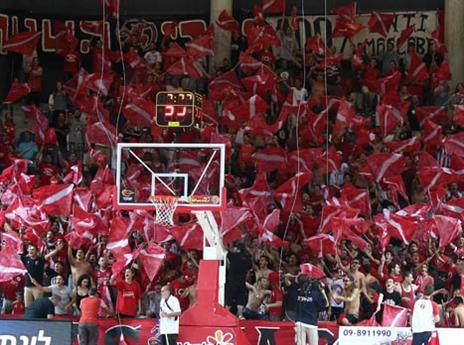 ואיזה מסכנים האוהדים.. (אלן שיבר)